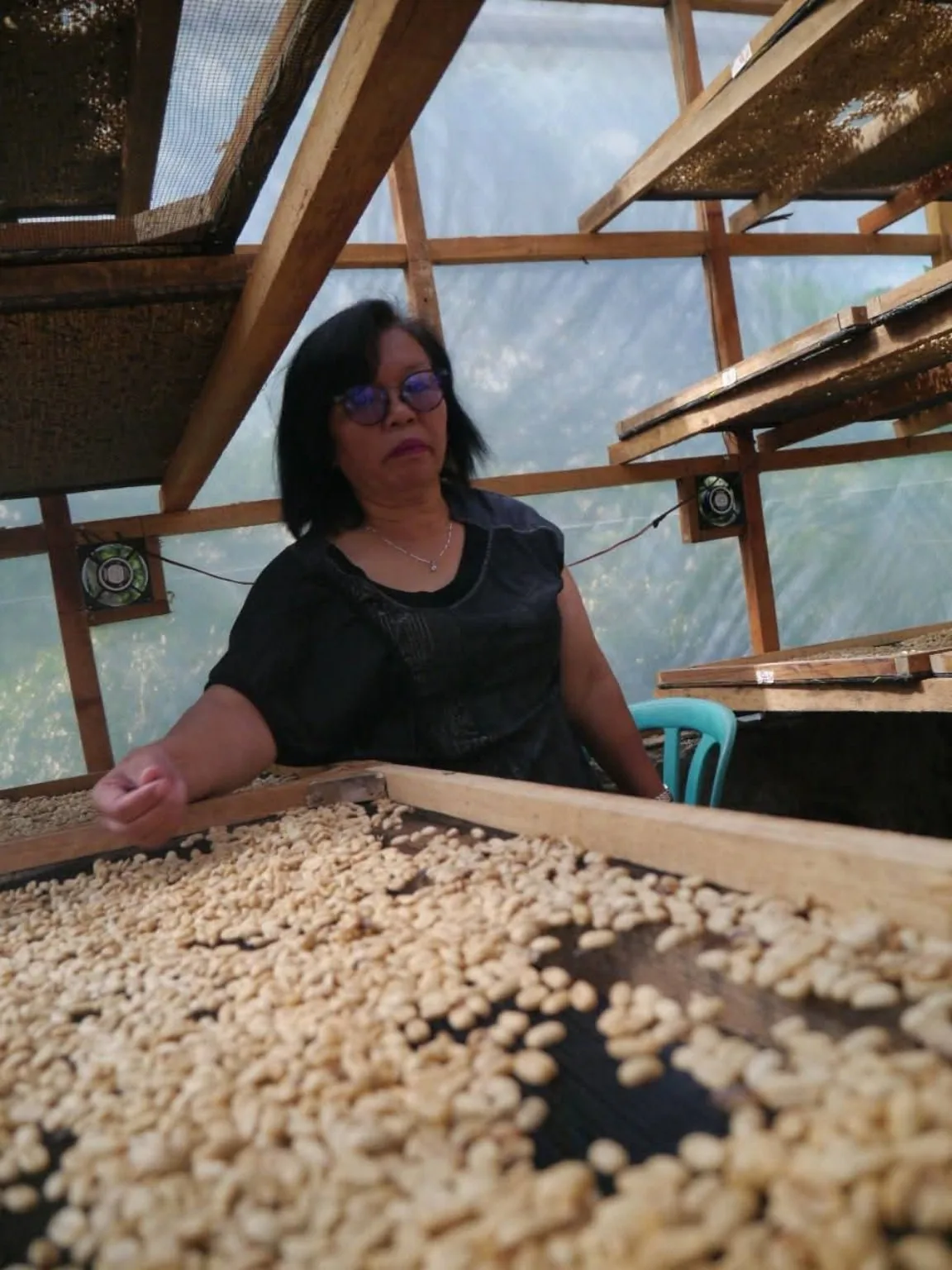 Coffee processing experience