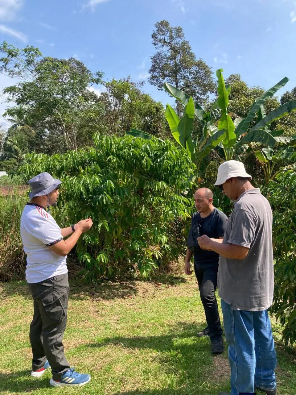 Tweny team conducting a field visit at a coffee farm
