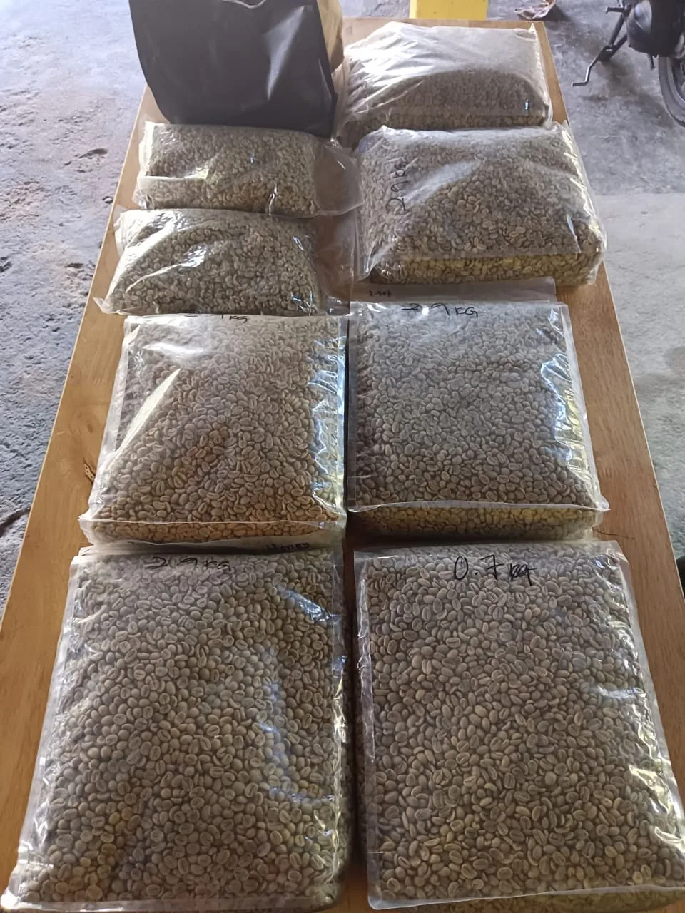 Selected green coffee beans prepared for evaluation